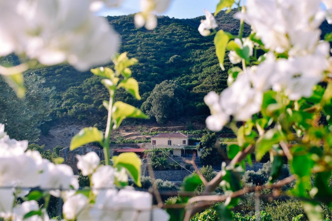 Kamilakis Escape To Nature Casa vacanze *